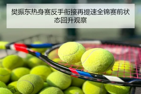 樊振东热身赛反手衔接再提速全锦赛前状态回升观察
